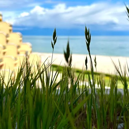 Se078- Senigallia, Nuovo Monolocale Fronte Mare Alle ''piramidi'' Scapezzano
